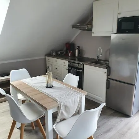 公寓 Nad Jeziorem Welle *