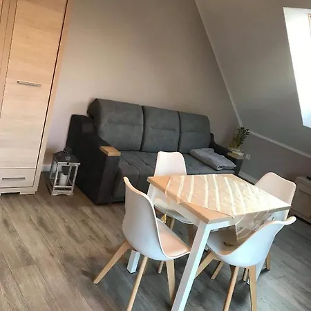 公寓 Nad Jeziorem Welle